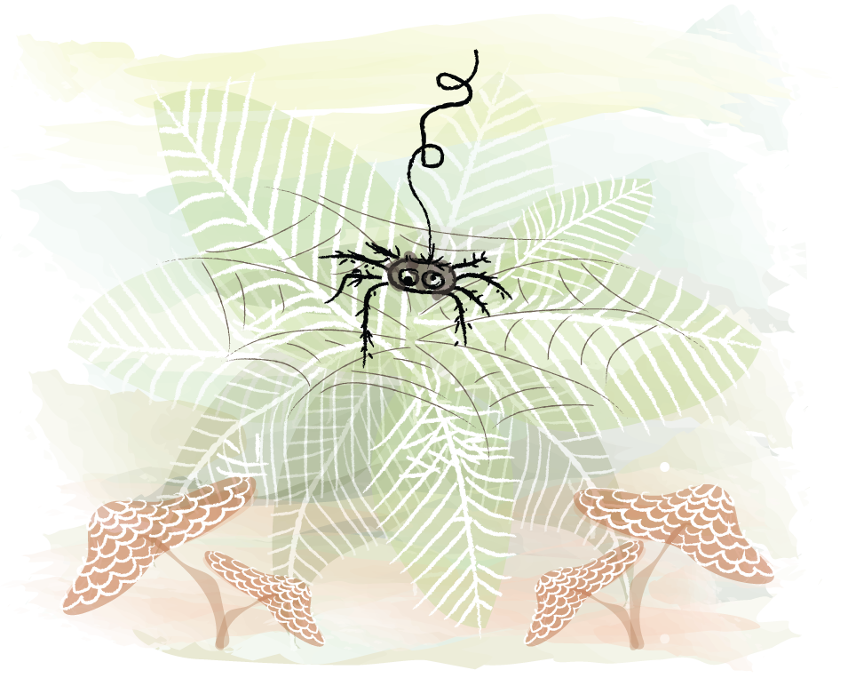 Die Flucht der Spinne