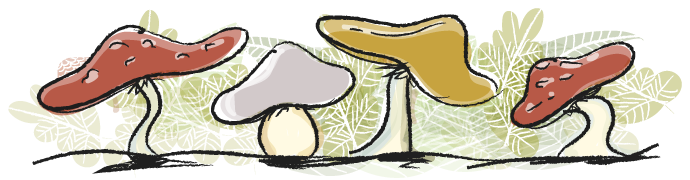 Ritterlinge und Hexenringe, Leseverständnis üben, 2. Klasse