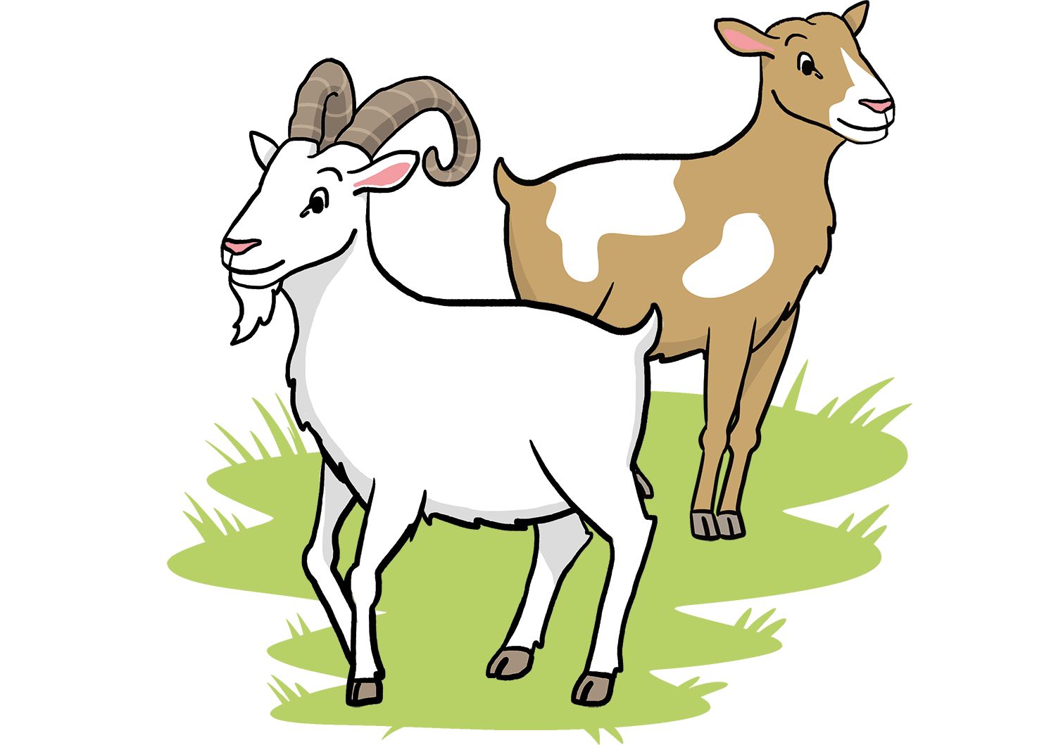 Das clevere Zicklein, 2. Klasse, sinnentnehmendes Lesen