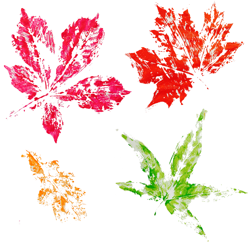 verstehendes Lesen, 3. Klasse