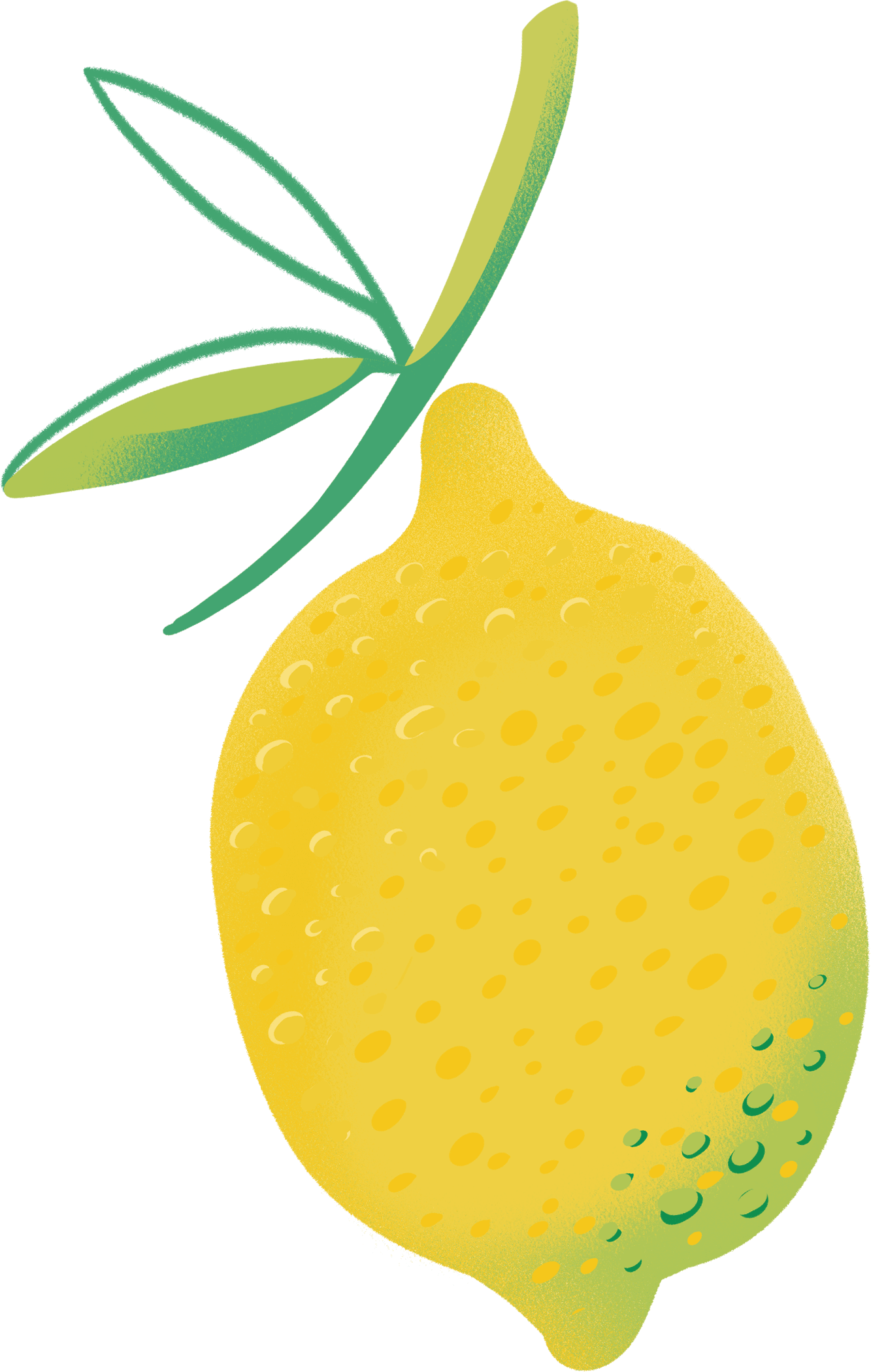 zitrone_12.png